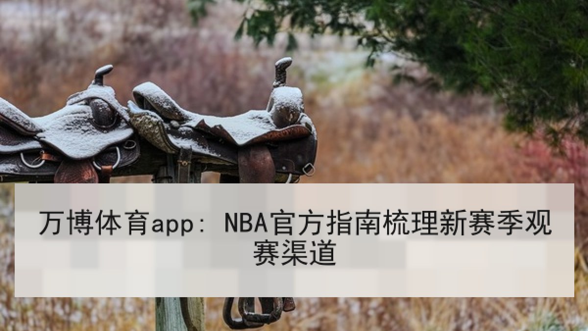 万博体育app: NBA官方指南梳理新赛季观赛渠道