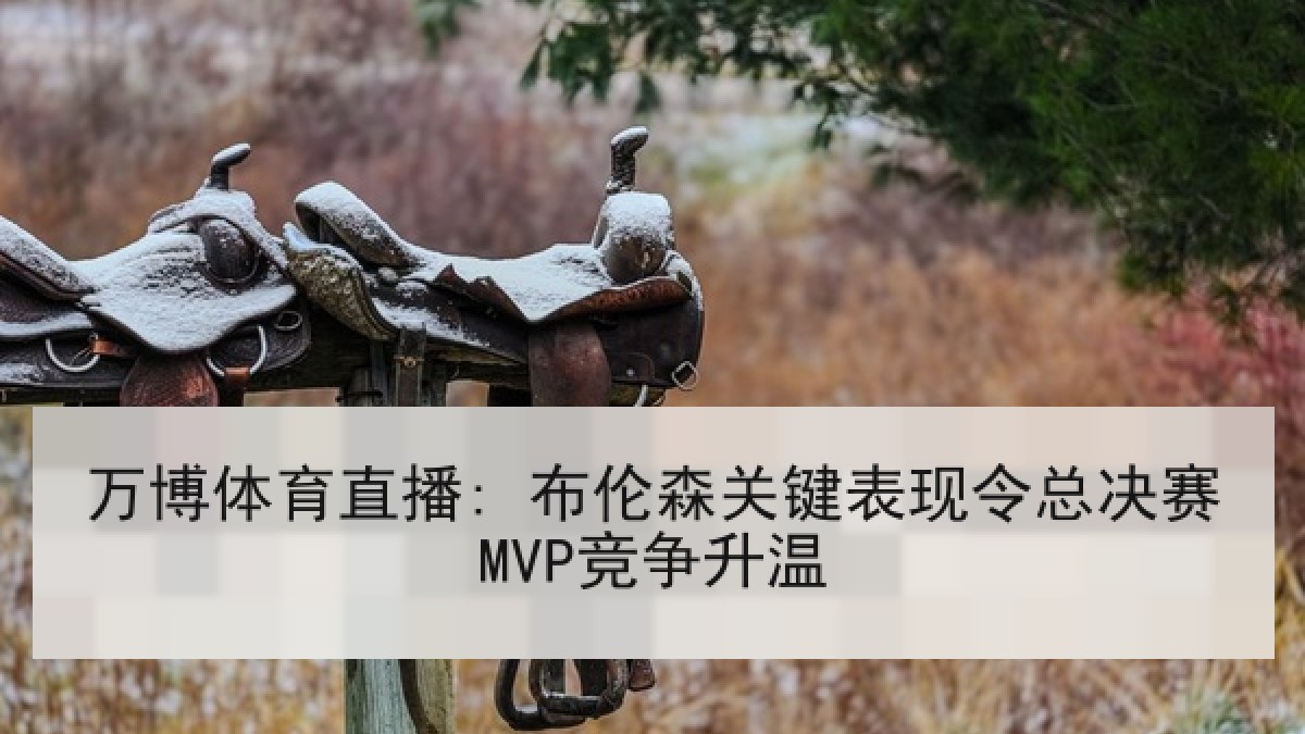 万博体育直播: 布伦森关键表现令总决赛MVP竞争升温