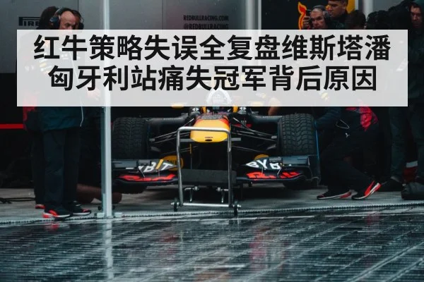 Max Verstappen Red Bull racing
