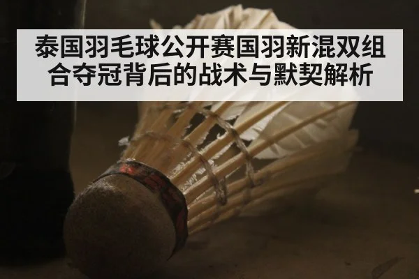 泰国羽毛球公开赛国羽新混双组合夺冠背后的战术与默契解析